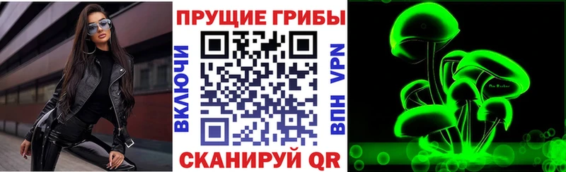 наркотики  Астрахань  Галлюциногенные грибы Magic Shrooms 