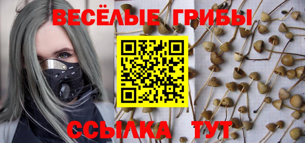 Псилоцибиновые грибы прущие грибы  Вход с VPN  купить  цена  Астрахань 